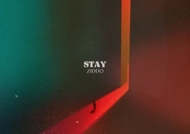 ZIDDO - Stay