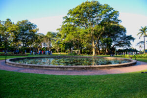 Amapiano Fest Brings Piano in the Garden to Durban Botanic Gardens &bull; Download MP3