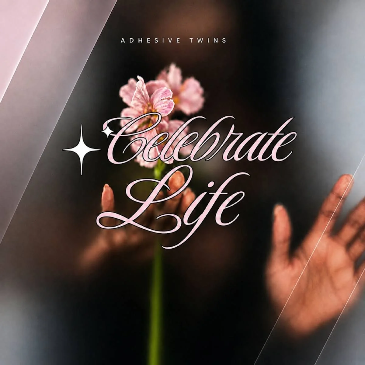 AdhesiveTwins - Celebrate Life (Soulful Twilight Mixes) (EP)