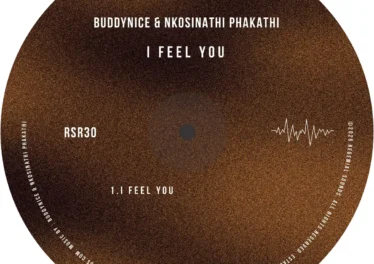 Buddynice & Nkosinathi Phakathi - I Feel You