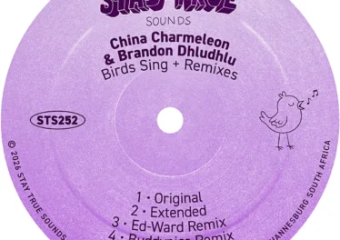 China Charmeleon, Brandon Dhludhlu & Buddynice - Birds Sing (Buddynice Remix)