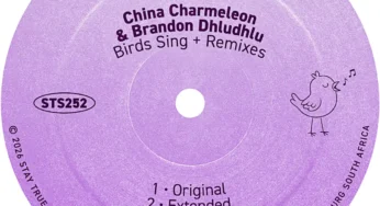 China Charmeleon & Brandon Dhludhlu – Birds Sing Remixes (EP)
