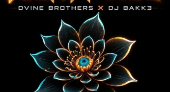 DJ Bakk3 & Dvine Brothers – Night Pulse