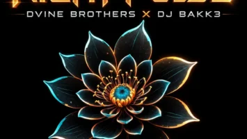 DJ Bakk3 & Dvine Brothers - Night Pulse