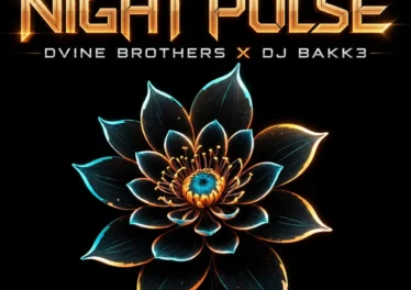 DJ Bakk3 & Dvine Brothers - Night Pulse