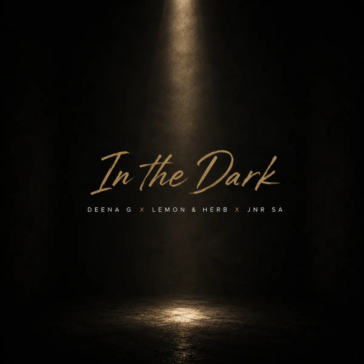 Deena G, Lemon & Herb & Jnr SA - In The Dark