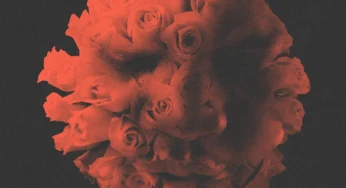 DJ Stoks – LET LOVE BLOOM EP