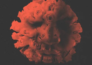 DJ Stoks - LET LOVE BLOOM (EP)
