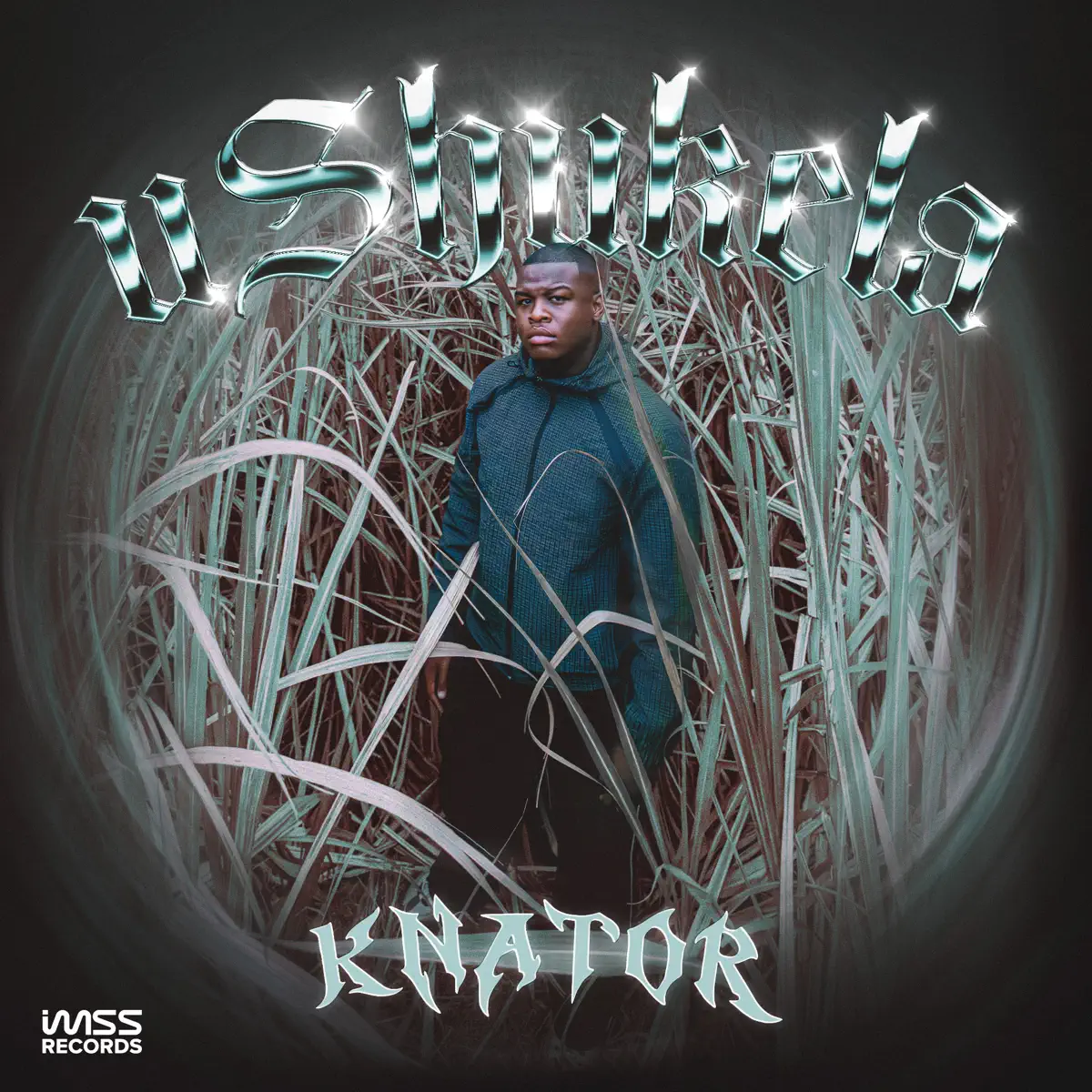 DJknator - USHUKELA (Disc A) [Album]