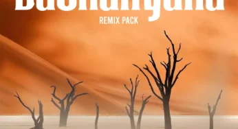 Mono T, DJ Maphorisa & Masheleng – Bashanyana (Remix Pack)