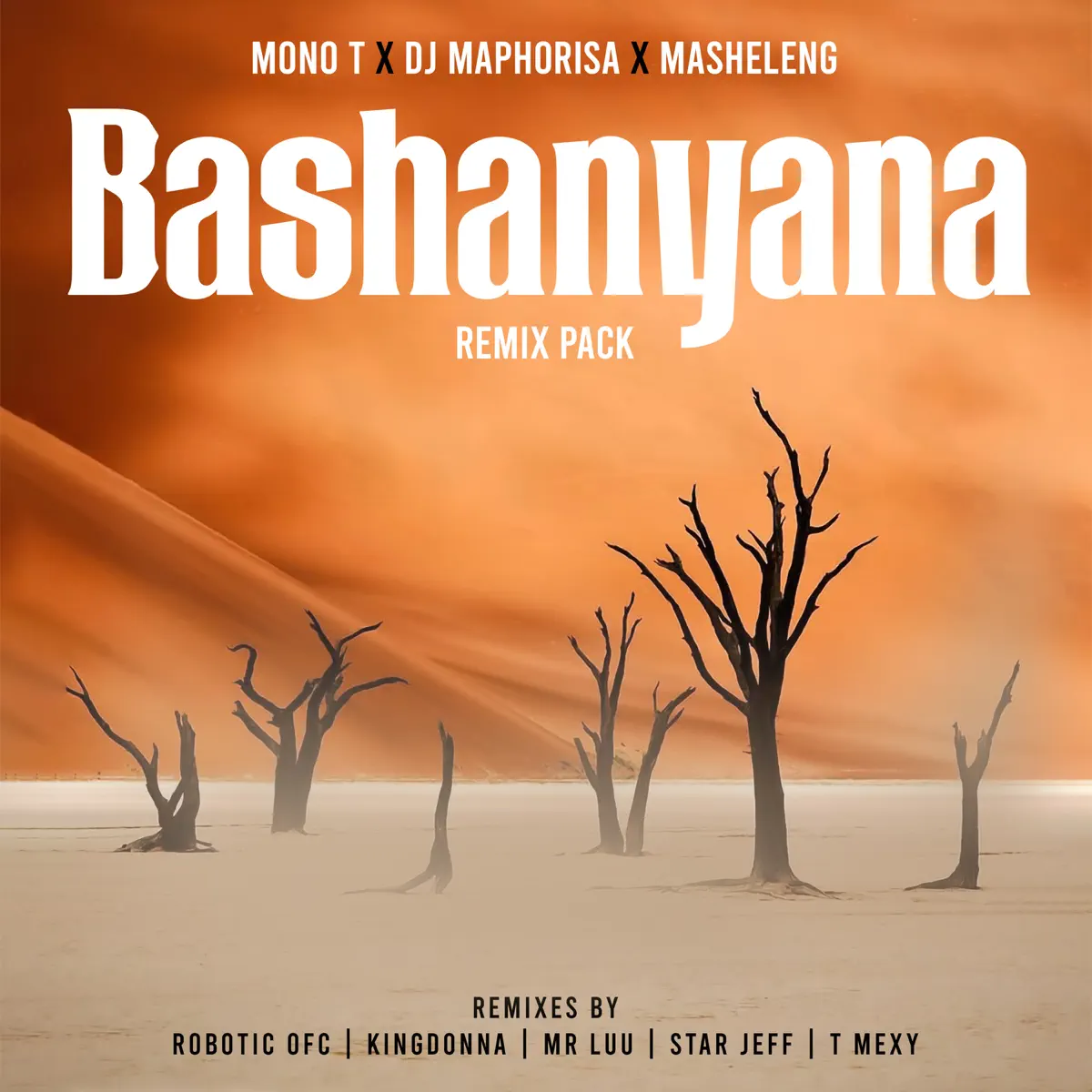 Mono T, DJ Maphorisa & Masheleng - Bashanyana (Remix Pack) (EP)