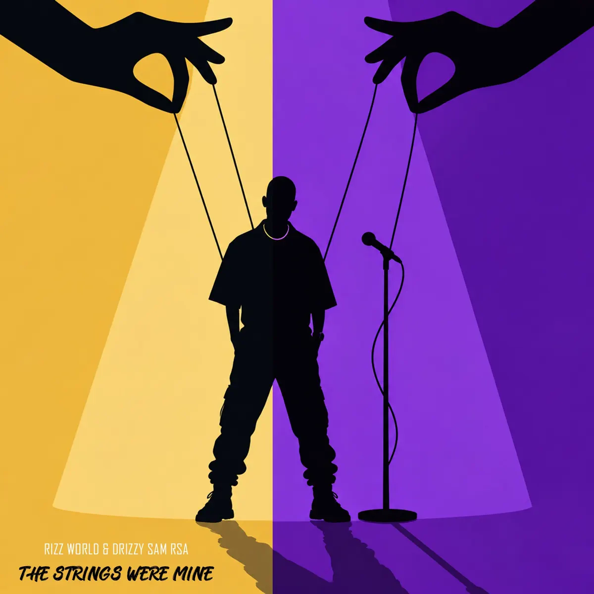 Rizz World & Drizzy Sam (RSA) - The Strings Were Mine