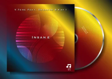 V.Tone - Insane (feat. Orgason & Kay 1)